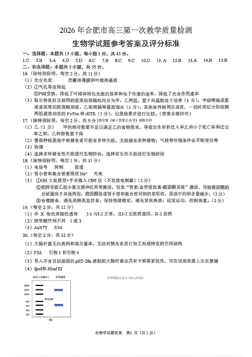 生物答案第1页