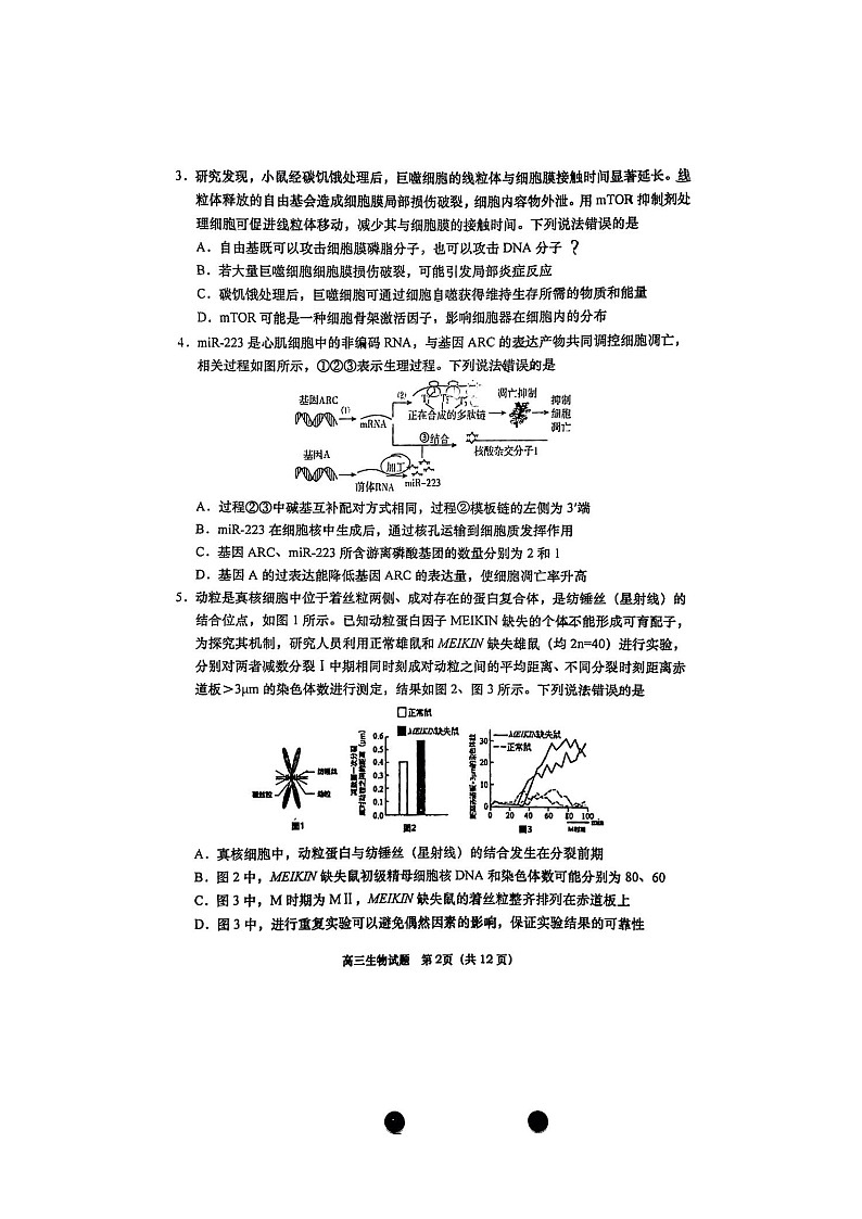 山东省青岛市2026届高三上学期期末考试 生物 含答案第2页