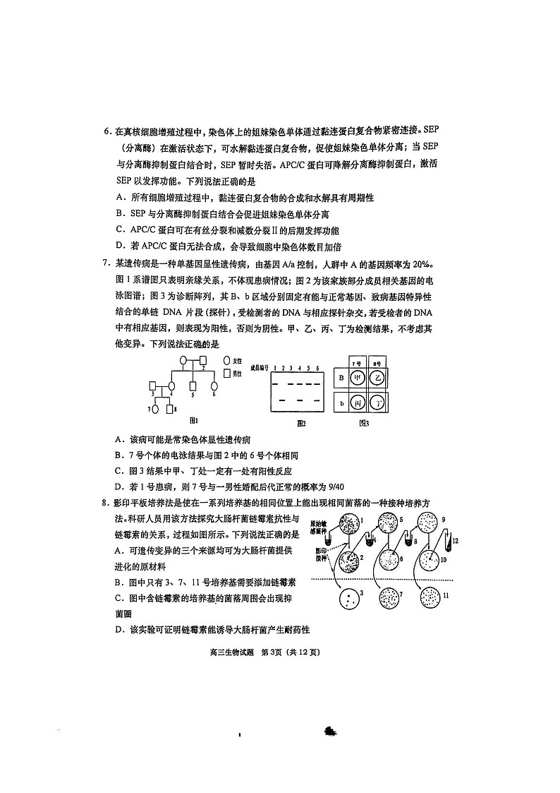 山东省青岛市2026届高三上学期期末考试 生物 含答案第3页