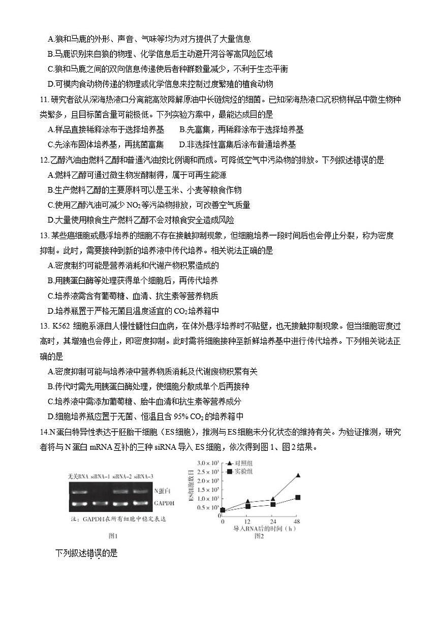 2025-2026学年北京市朝阳区上学期期末考试高三生物学试题（含答案）第3页