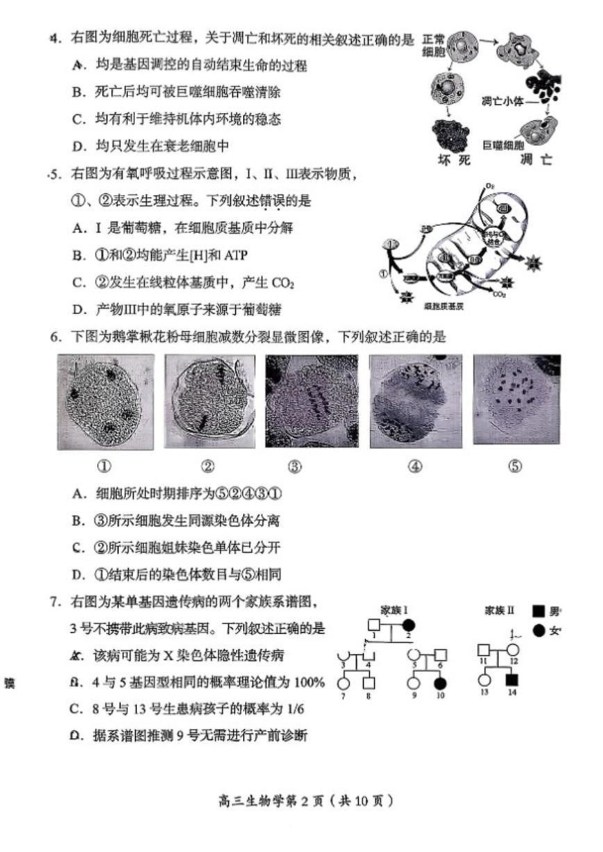 2025-2026学年北京市房山区高三上期期末考试生物学试卷（含答案）第2页