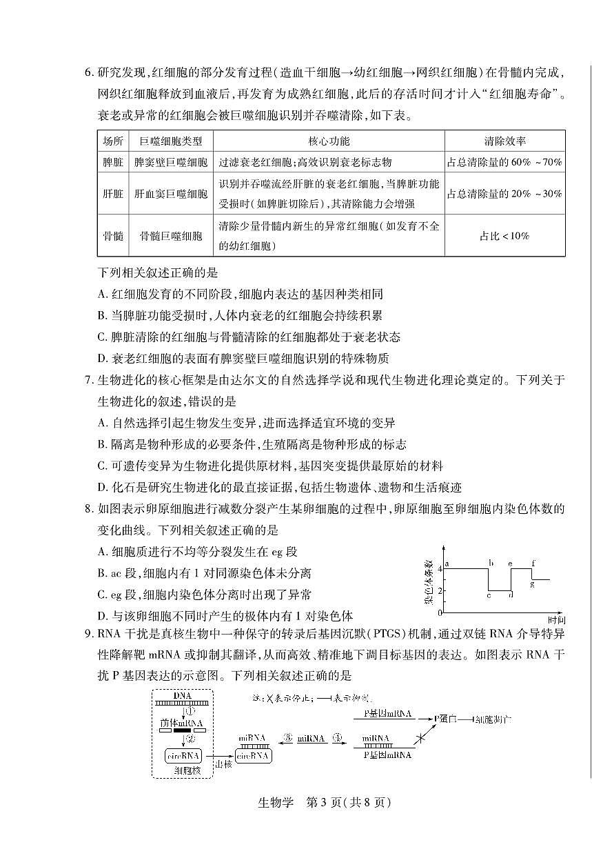 安徽省亳州市2025-2026学年上学期期末高三生物试卷及答案第3页