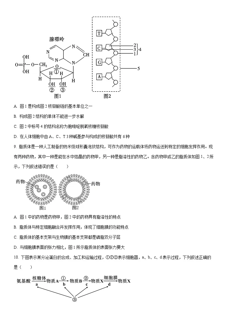 2025-2026学年陕西省宝鸡市部分学校高一上学期12月质量检测生物试卷（学生版）第3页