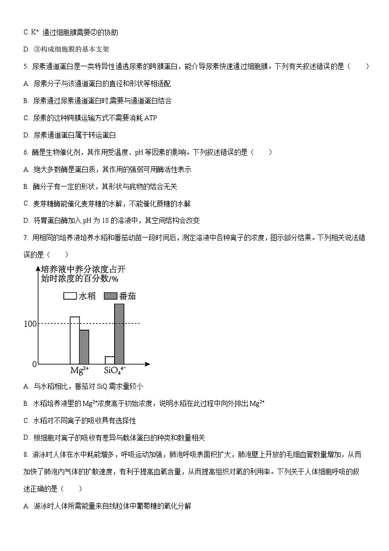 2025-2026学年黑龙江省牡丹江市名校协作体高一上学期1月期末生物试卷（学生版）第2页