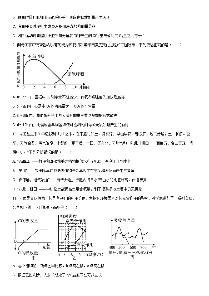 2025-2026学年黑龙江省牡丹江市名校协作体高一上学期1月期末生物试卷（学生版）第3页