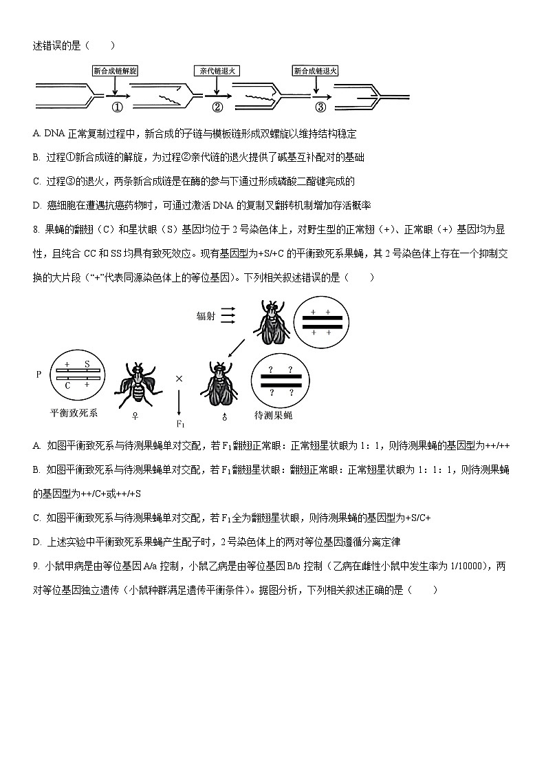 2026届安徽省淮北市高三上学期第一次质量检测生物试卷（学生版）第3页