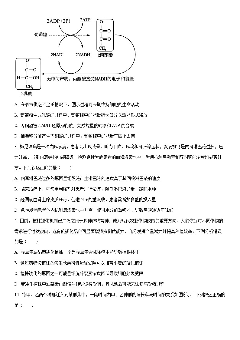 2026届湖北省十堰市高三一模生物试卷（学生版）第3页
