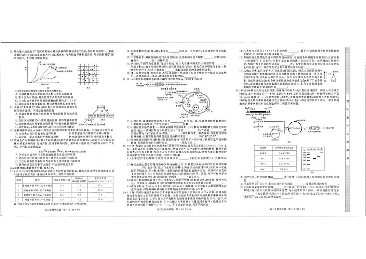 2026届河南省新未来高三年级上学期2月期末测评生物学试卷（含解析）第2页