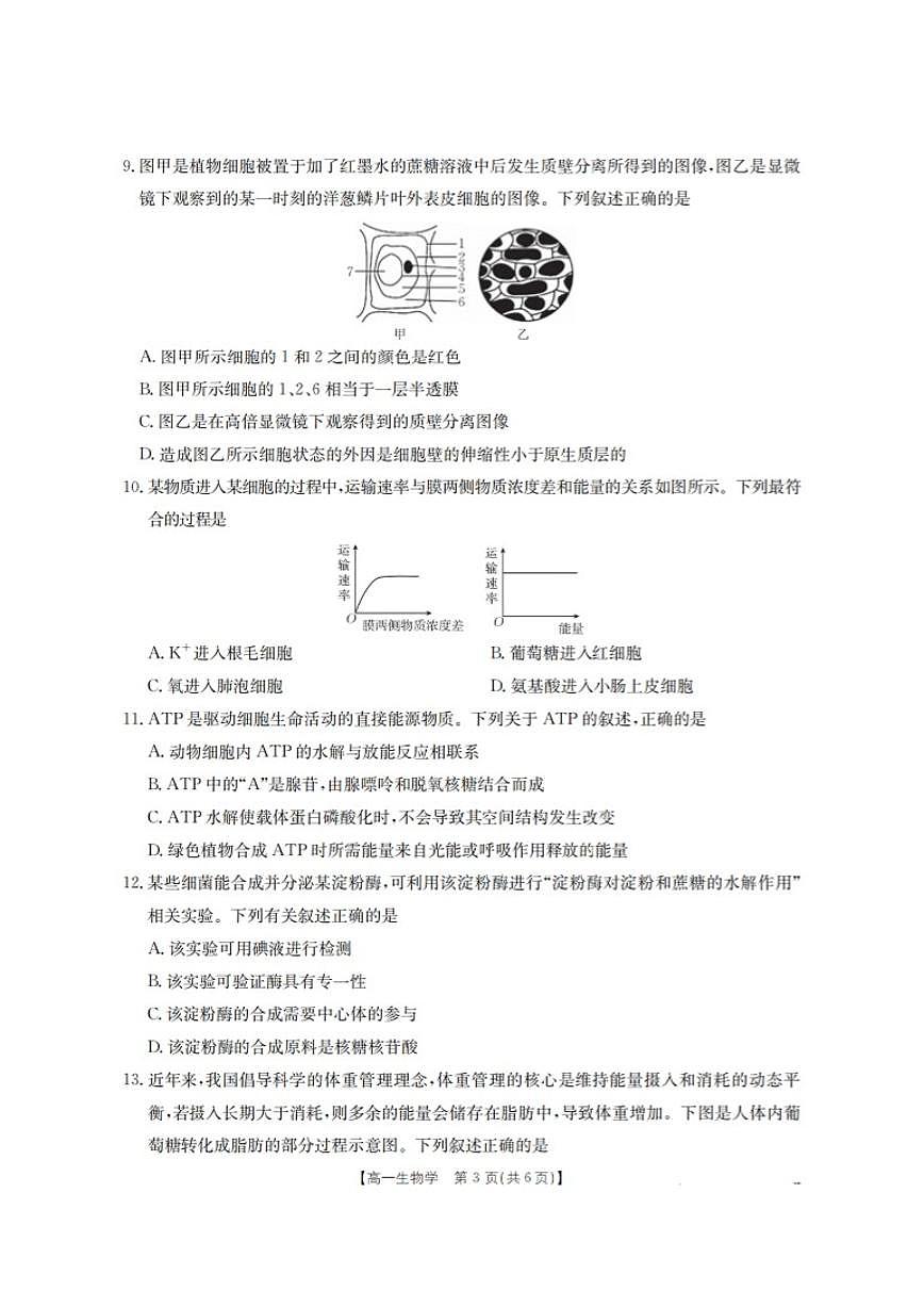 2025-2026学年河南省南阳地区上期高一上期末摸底考试生物学试卷（含解析）第3页