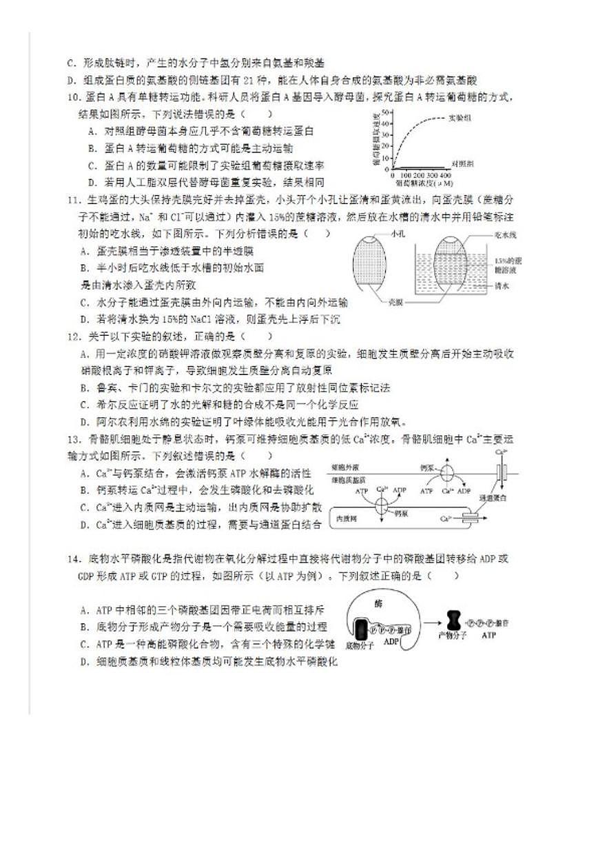 2025-2026学年深圳市部分高中联考高一(上)期末生物试卷（含解析）第3页