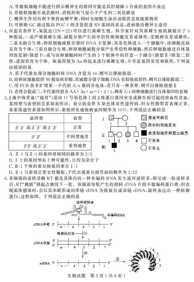 山东省（济宁市、枣庄市）高考模拟考试生物第2页