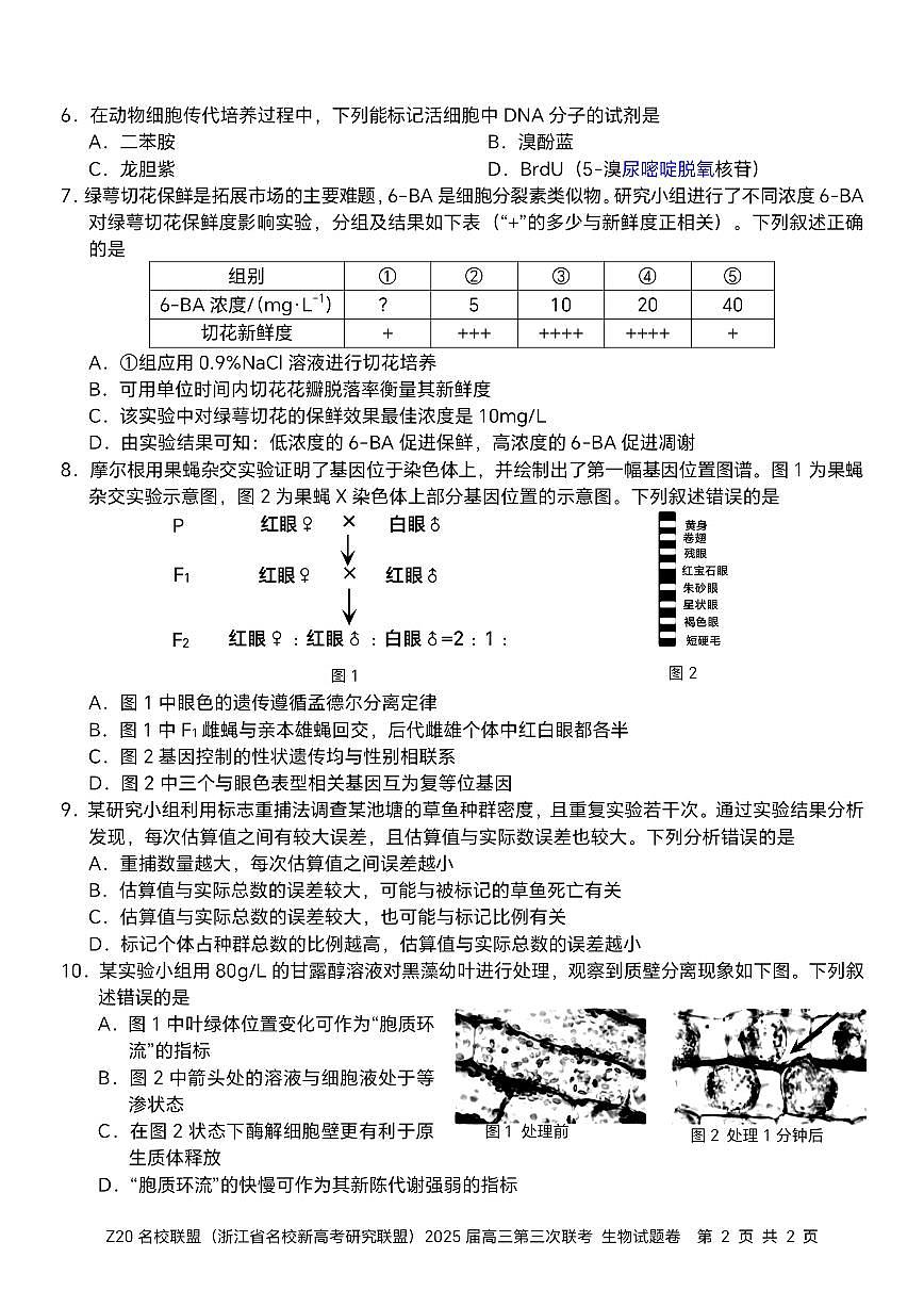 浙江Z20名校联盟2025届高三第三次联考-生物试卷第2页