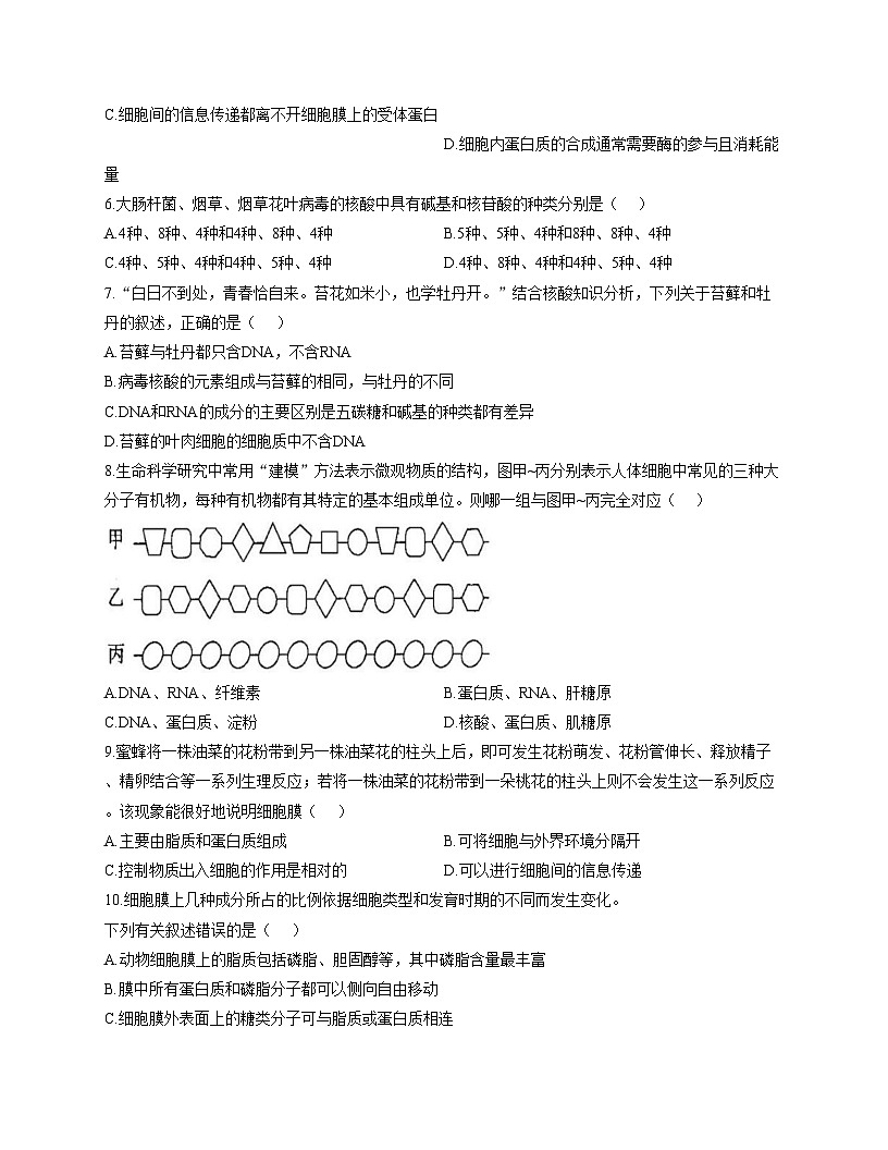 陕西省渭南市三贤中学2025_2026学年高一上学期第二次教学质量检测（期中）生物试卷（文字版，含答案）第2页