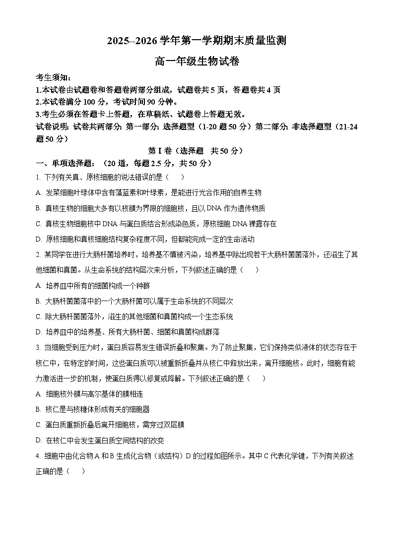 新疆喀什地区疏勒县2025-2026学年高一上学期期末生物试卷（试卷+解析）第1页