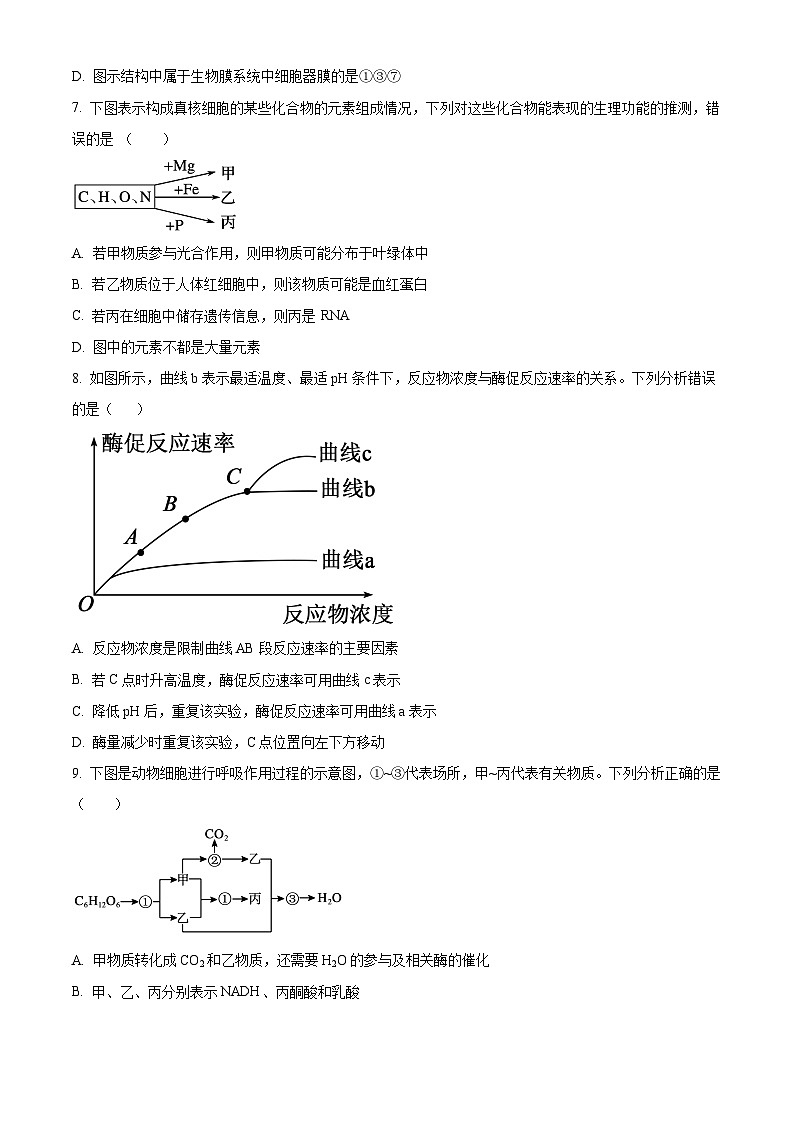 新疆喀什地区疏勒县2025-2026学年高一上学期期末生物试卷（试卷+解析）第3页