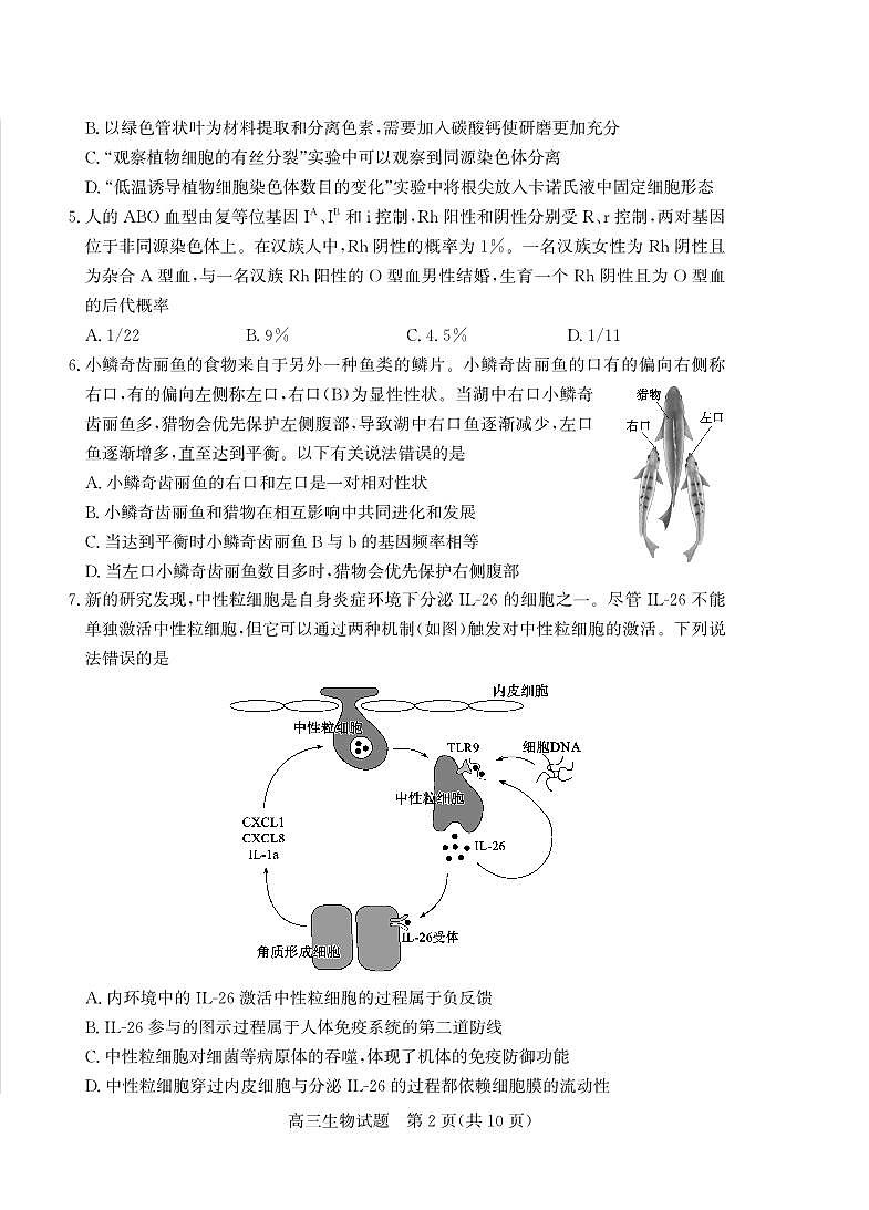 山东省枣庄市2026年高三高考一模生物学试卷含答案第2页
