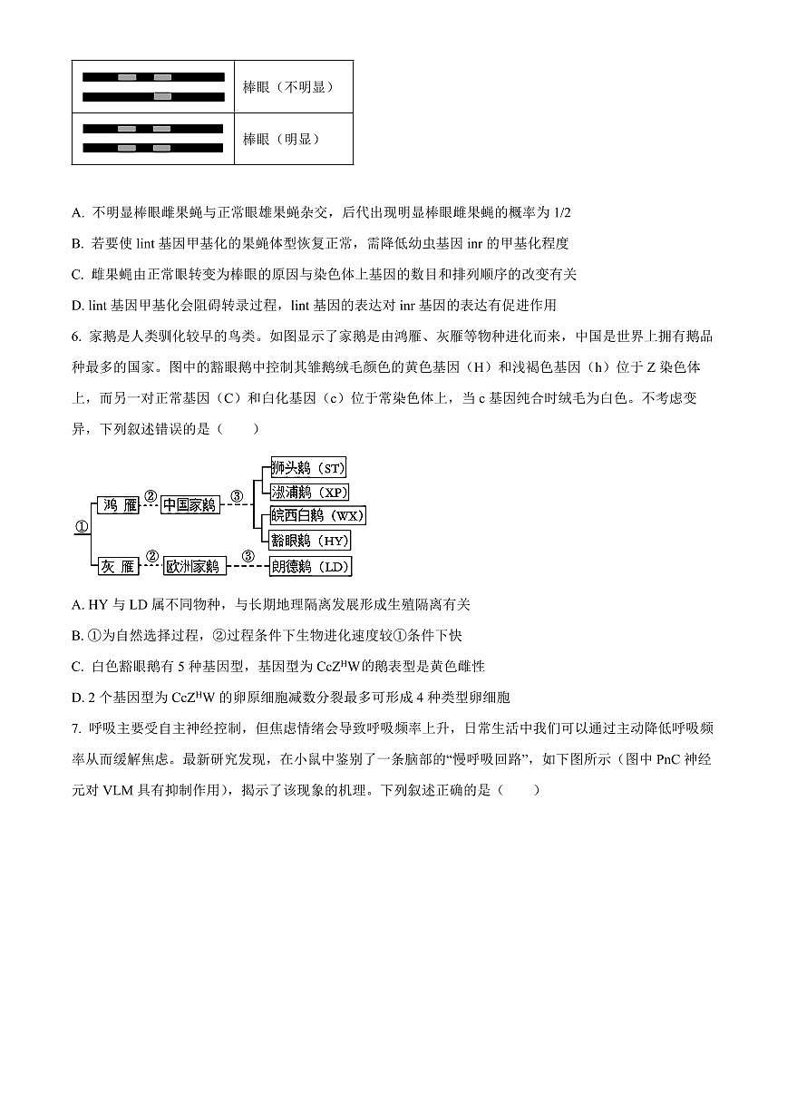 江西省宜春市2025-2026学年高三上学期1月期末生物试题（原卷+解析）第3页