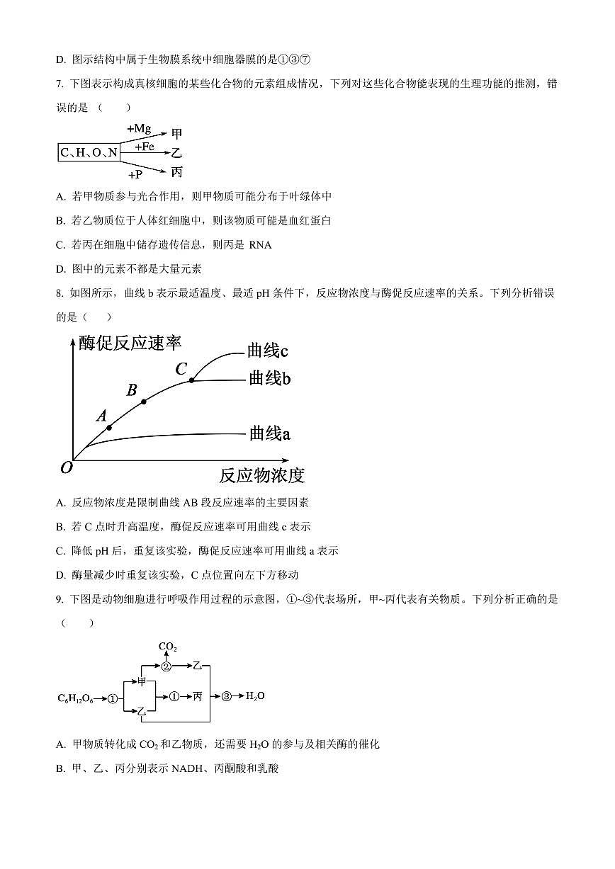 新疆喀什地区疏勒县2025-2026学年高一上学期期末生物试卷（试卷+解析）第3页