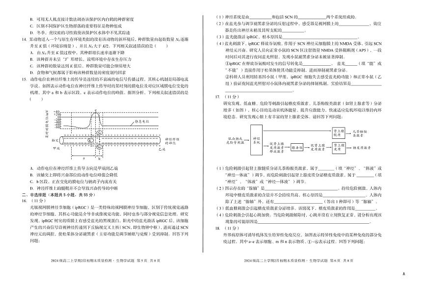 安徽省A10联盟2025-2026学年上学期期末高二生物学A试卷及答案第3页