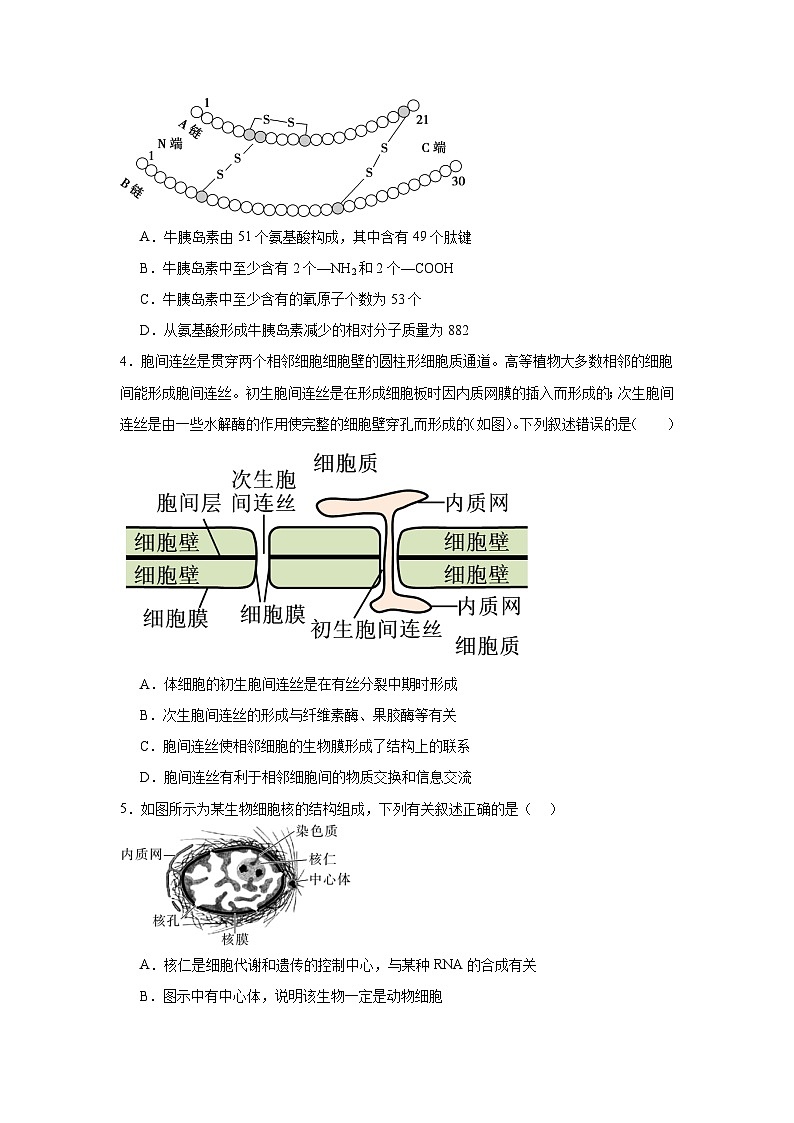 黑龙江省哈尔滨市第六中学校2025-2026学年高一上学期1月期末生物试题第2页