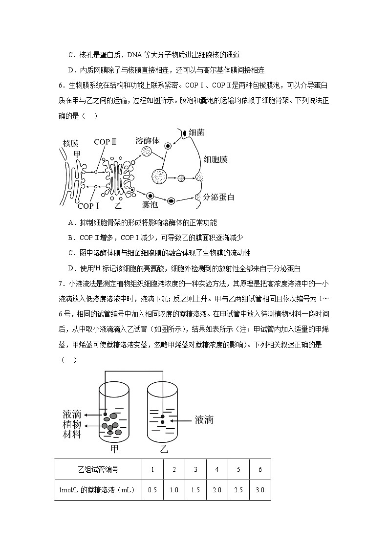 黑龙江省哈尔滨市第六中学校2025-2026学年高一上学期1月期末生物试题第3页