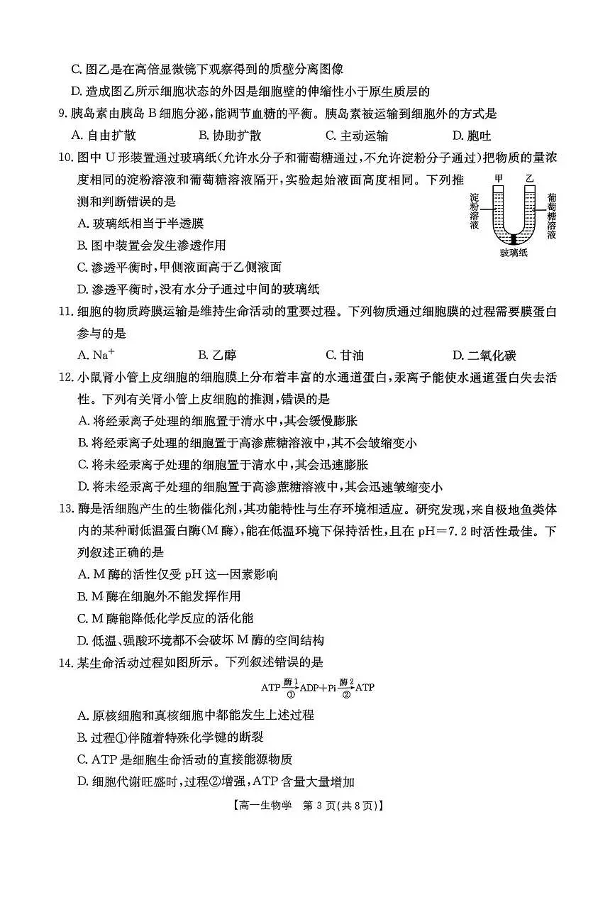 辽宁省辽阳市2025-2026学年高一上学期1月期末生物试题第3页