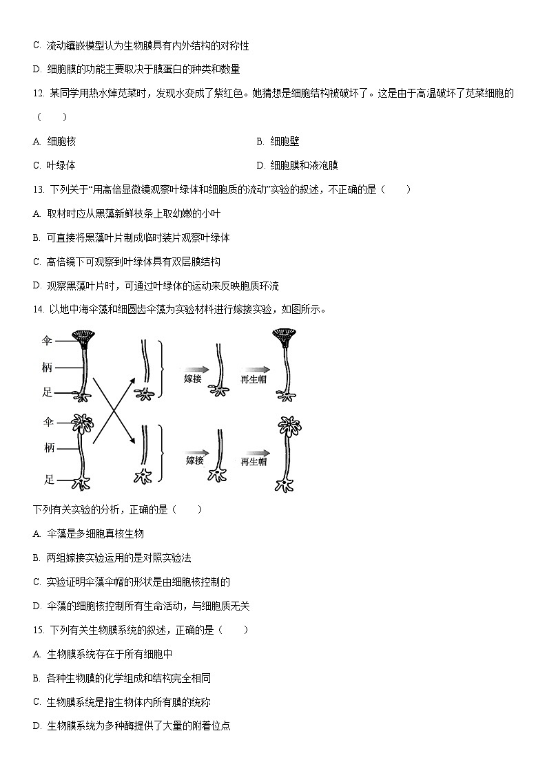 2025-2026学年浙江省丽水发展共同体高一上学期11月期中生物试卷（学生版）第3页