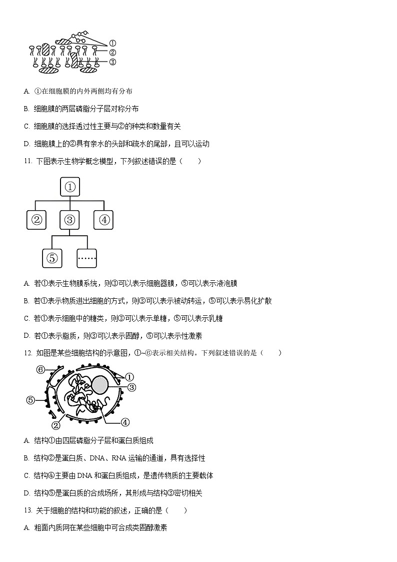 2025-2026学年浙江省杭州市北斗联盟高一上学期期中联考生物试卷（学生版）第3页