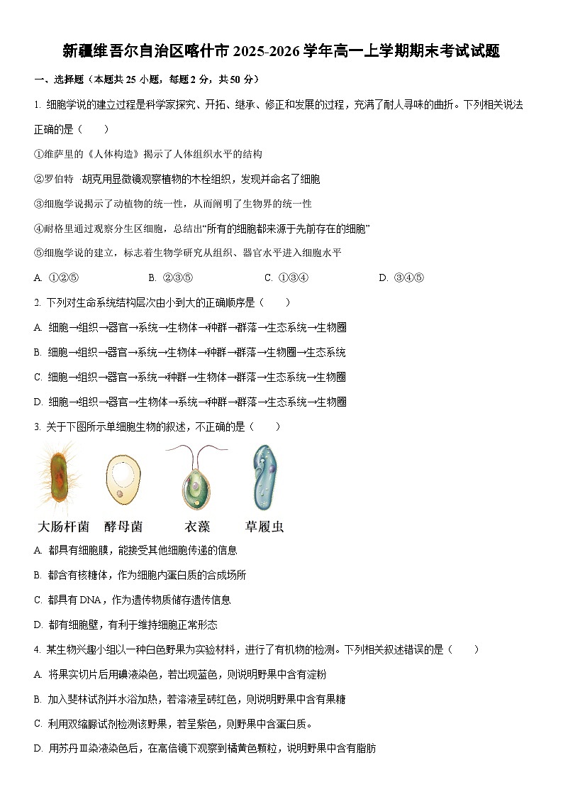 2025-2026学年新疆维吾尔自治区喀什市高一上学期期末考试生物试卷（学生版）第1页
