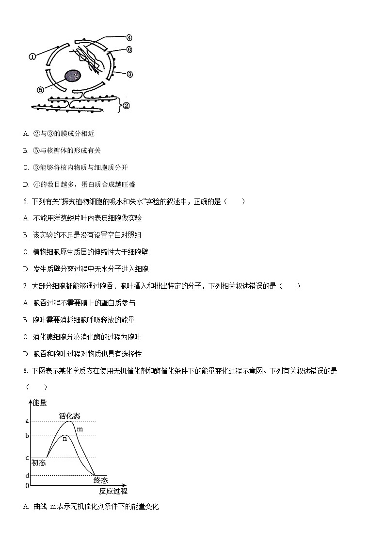2025-2026学年新疆维吾尔自治区巴音郭楞蒙古自治州高一上学期1月期末生物试卷（学生版）第2页