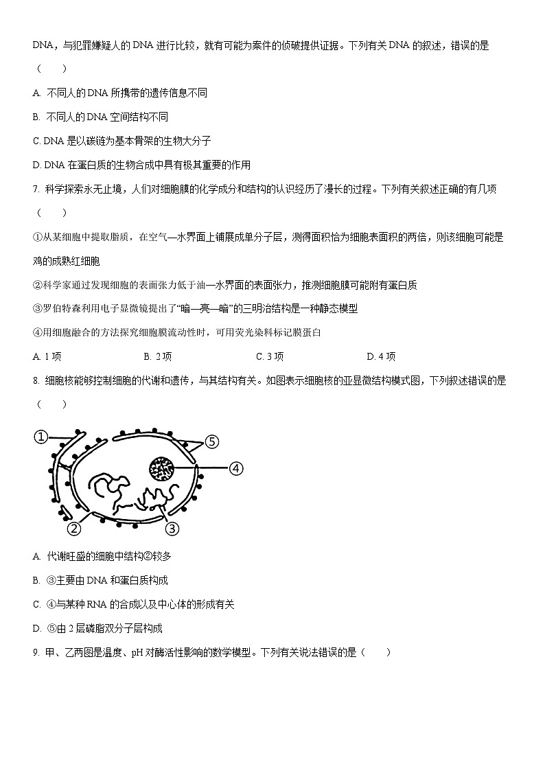 2025-2026学年四川省凉山彝族自治州高一上学期期末考试生物试卷（学生版）第2页