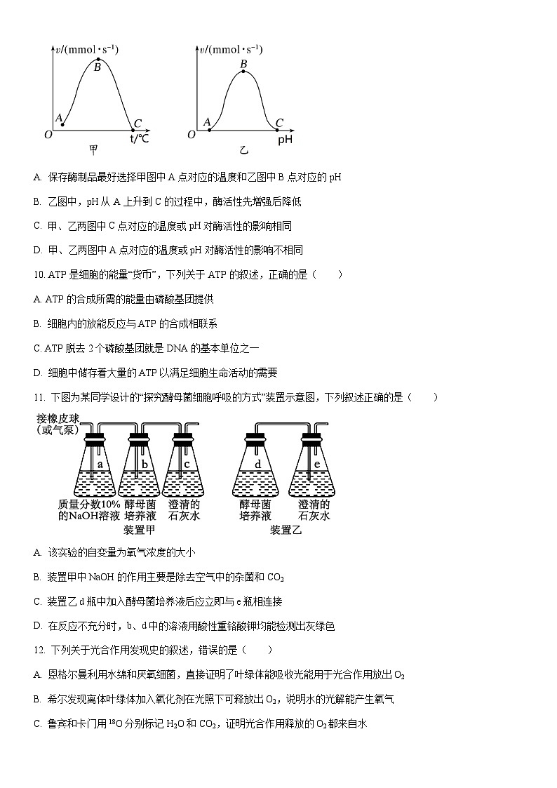 2025-2026学年四川省凉山彝族自治州高一上学期期末考试生物试卷（学生版）第3页