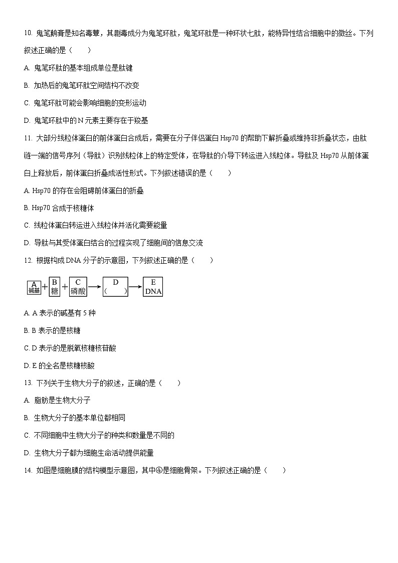 2025-2026学年江苏省淮安七校高一上学期第三次月考联考生物试卷（学生版）第3页