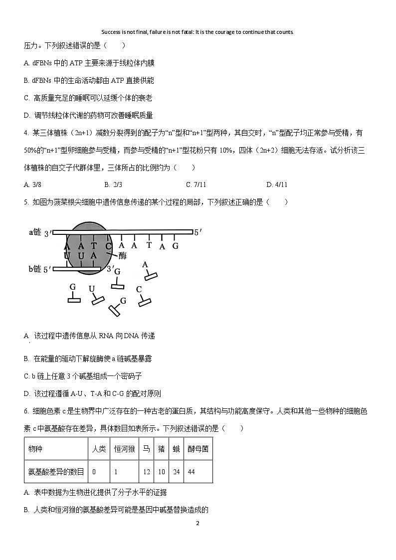 2025-2026学年河南省商丘市九师联盟高三上学期第5次质量检测生物试卷（学生版）第2页