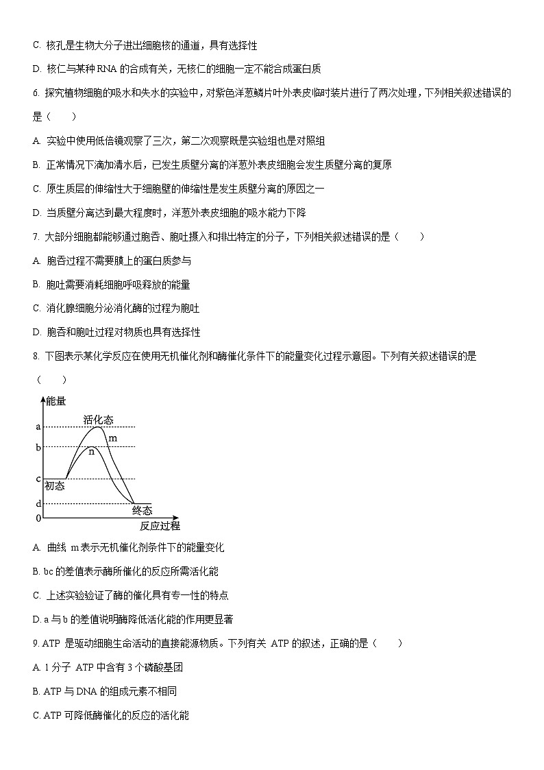 2025-2026学年青海省西宁市大通县高一上学期期末检测生物试卷（学生版）第2页