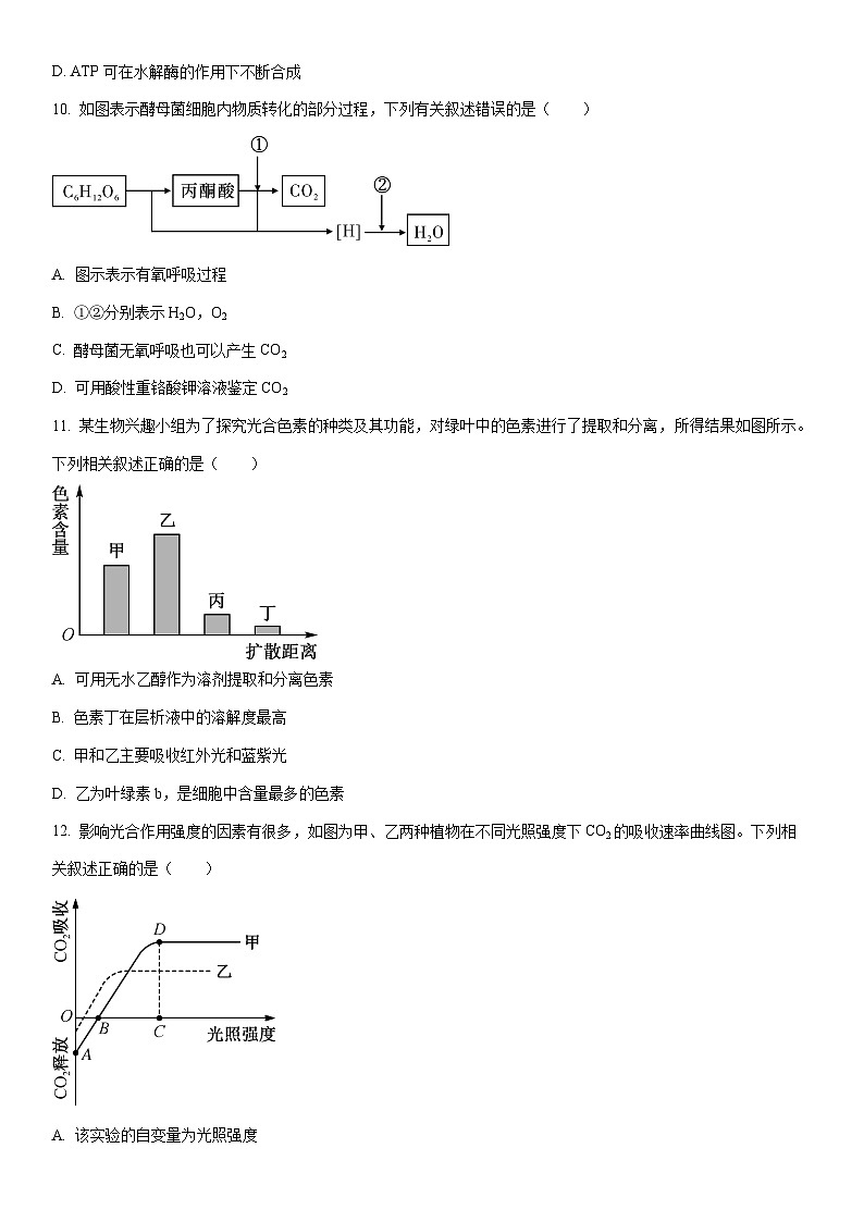 2025-2026学年青海省西宁市大通县高一上学期期末检测生物试卷（学生版）第3页