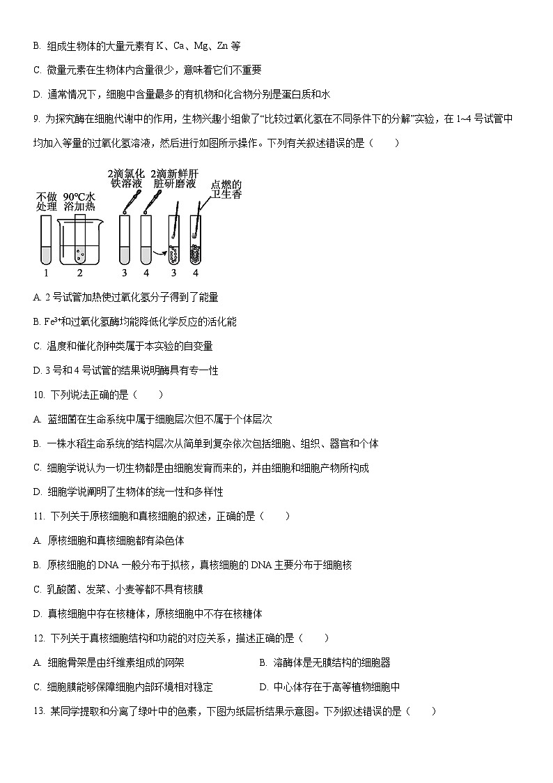 2025-2026学年宁夏回族自治区石嘴山市高一上学期1月期末考试生物试卷（学生版）第2页