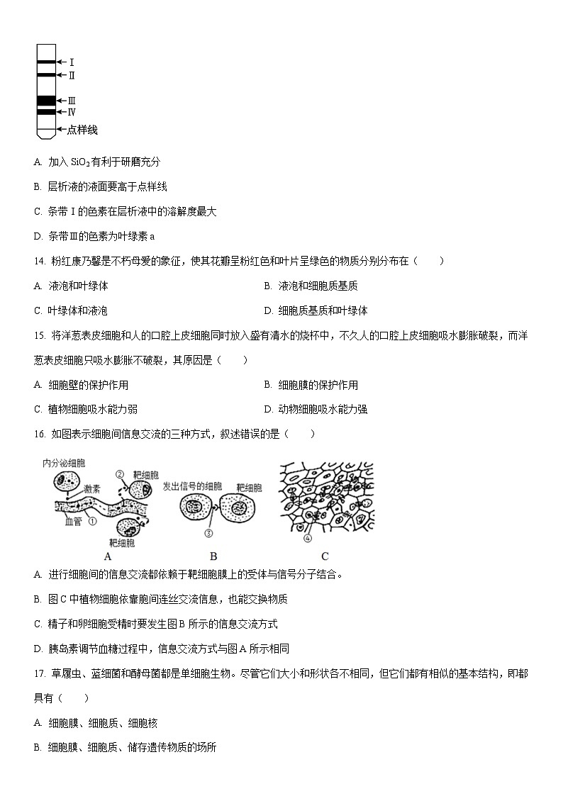 2025-2026学年宁夏回族自治区石嘴山市高一上学期1月期末考试生物试卷（学生版）第3页