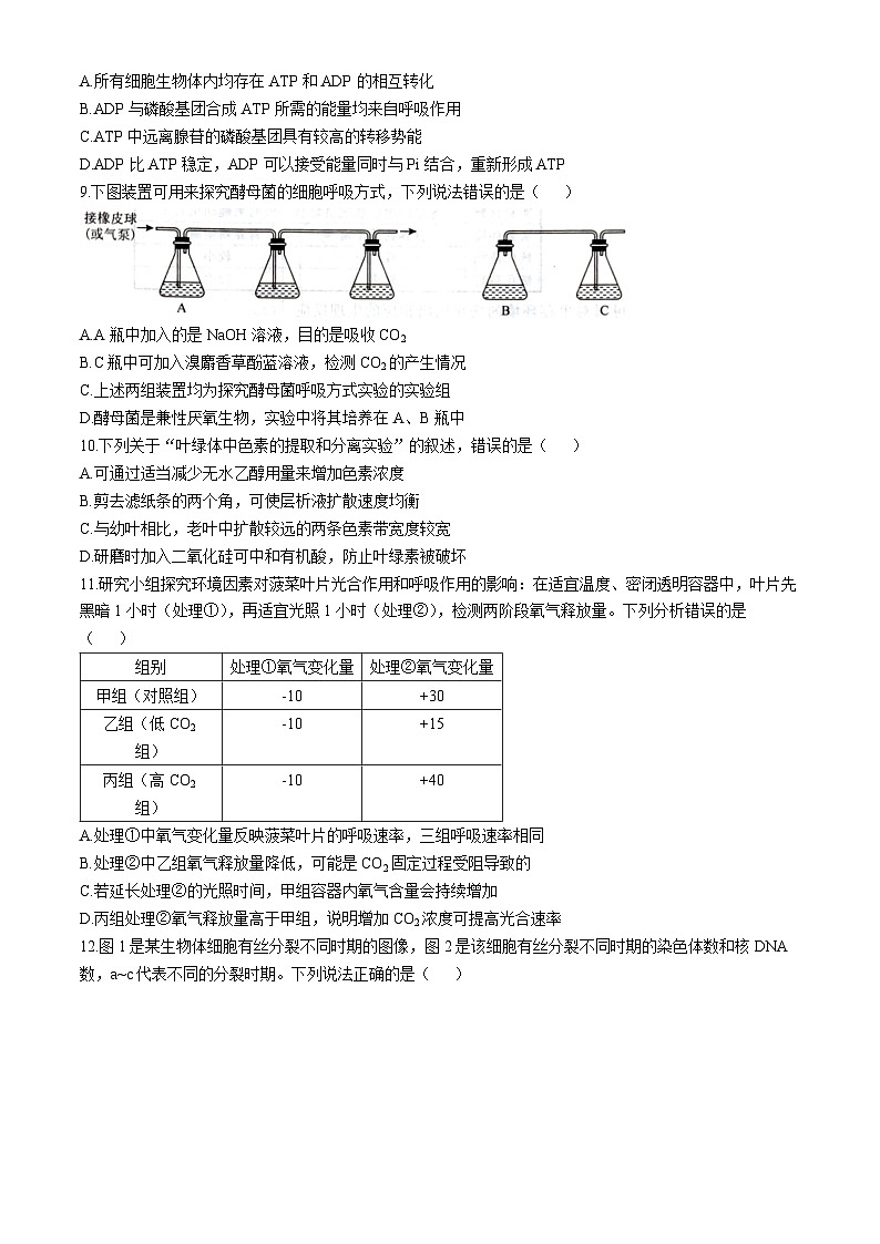 河北省石家庄市七县联合体联考2025-2026学年高一上学期1月月考生物试题含答案第3页