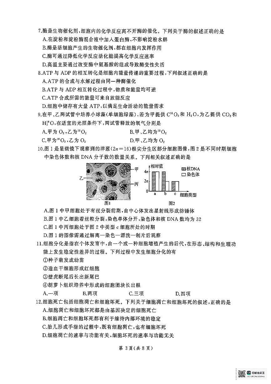 扫描全能王 2026-01-20 08.21(1)第3页