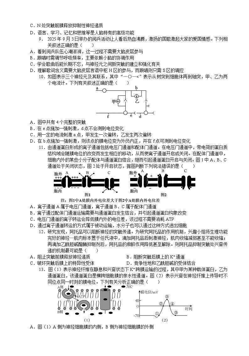 四川省泸州市三校联盟2025-2026学年高二上学期第一次联合考试生物学试题（试卷）第3页