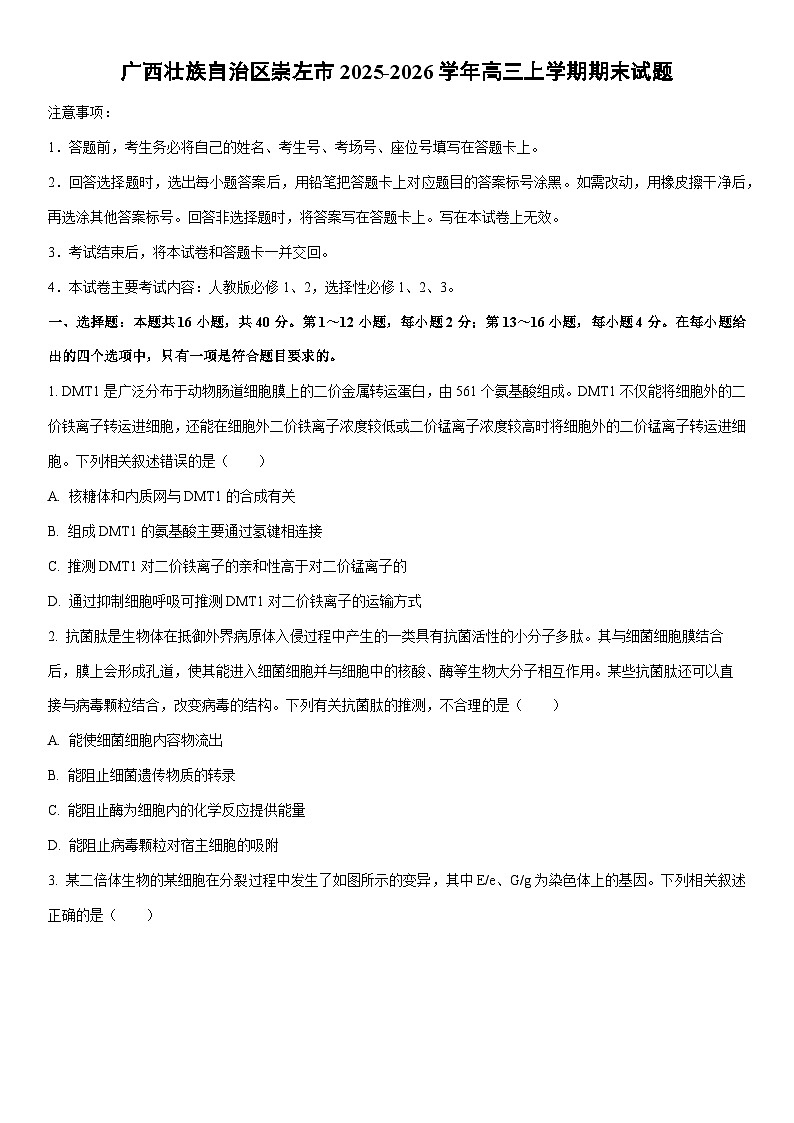 2025-2026学年广西壮族自治区崇左市高三上学期1月期末生物试卷（学生版）第1页
