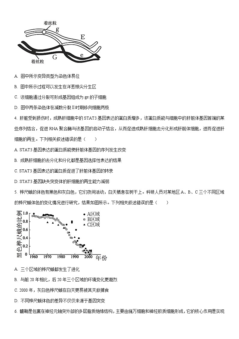2025-2026学年广西壮族自治区崇左市高三上学期1月期末生物试卷（学生版）第2页
