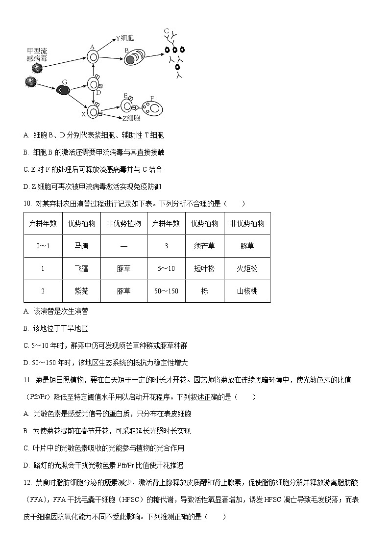 2025-2026学年广东省深圳市龙岗区高三上学期1月期末生物试卷（学生版）第3页