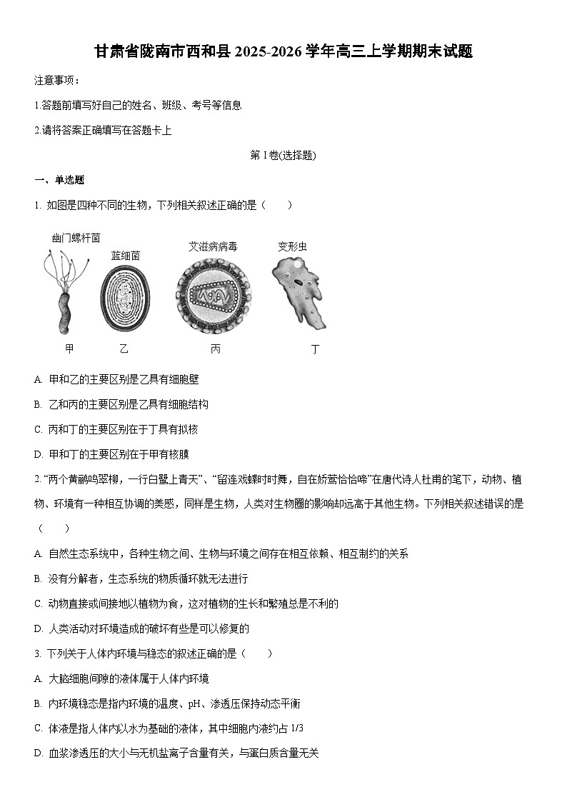 2025-2026学年甘肃省陇南市西和县高三上学期期末生物试卷（学生版）第1页