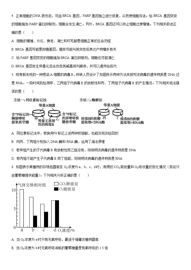 2025-2026学年甘肃省陇南市西和县高三上学期期末生物试卷（学生版）第2页