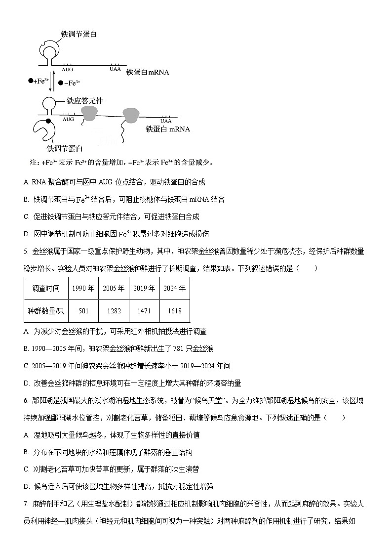 2025-2026学年安徽省天一联考高三上学期1月月考生物试卷（学生版）第2页