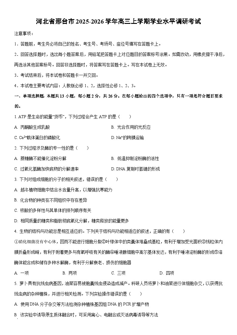 2025-2026学年河北省邢台市高三上学期学业水平调研考试生物试卷（学生版）第1页