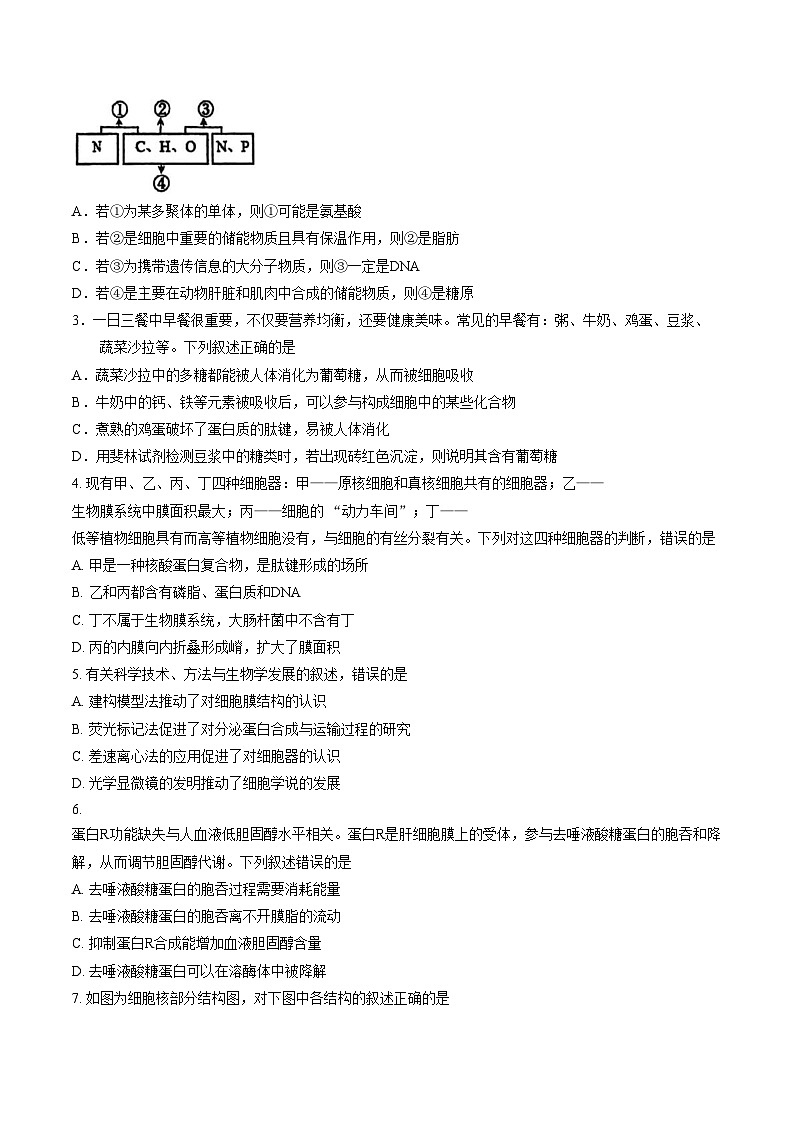 福建厦门外国语学校2025_2026学年第一学期高一期末考试生物试题（文字版，含答案）第2页