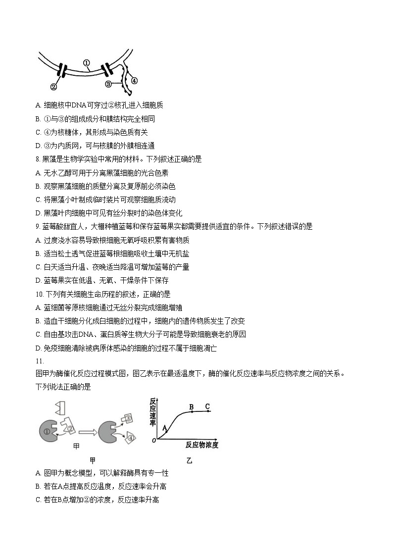 福建厦门外国语学校2025_2026学年第一学期高一期末考试生物试题（文字版，含答案）第3页